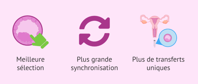 Imagen: Avantages du transfert de blastocystes