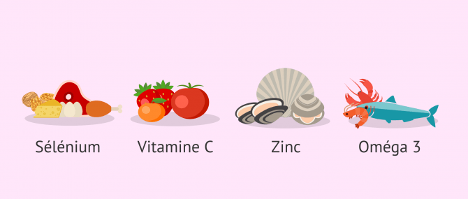Imagen: Alimentation traitement tératozoospermie