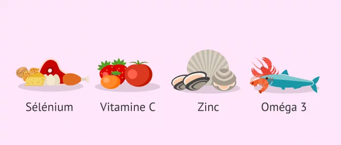 Imagen: Alimentation traitement tératozoospermie