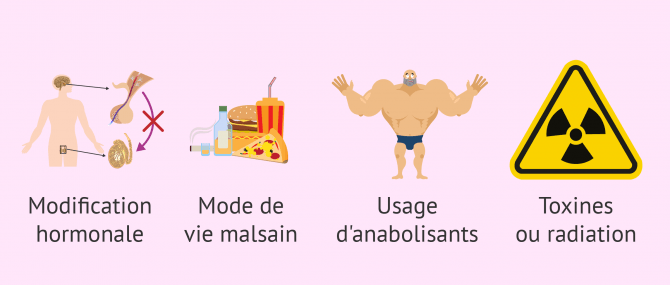 Imagen: Causes pretesticulaires oligospermie