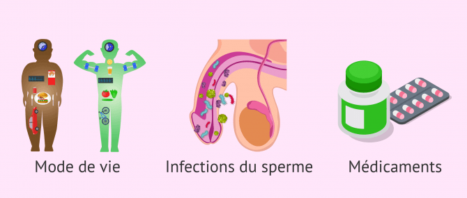 Imagen: causes reversibles tératozoospermie