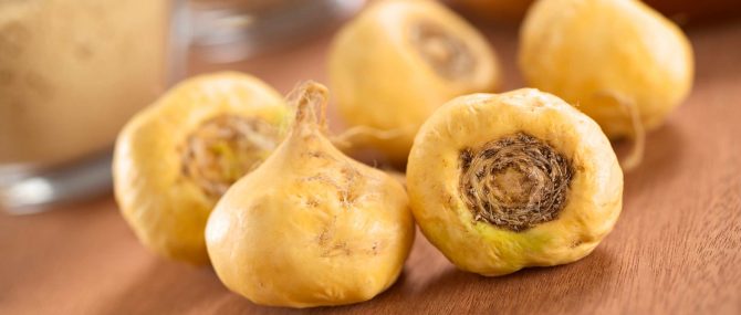 Imagen: maca des andes