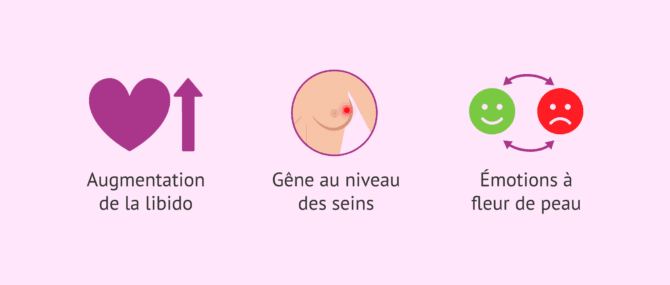 Imagen: Autres signes possibles de l’ovulation