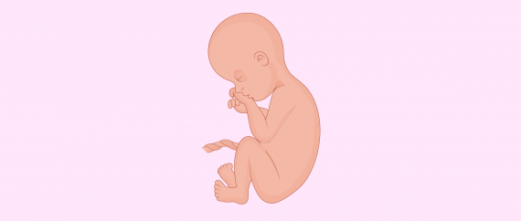Sept mois de grossesse: symptômes et développement du bébé