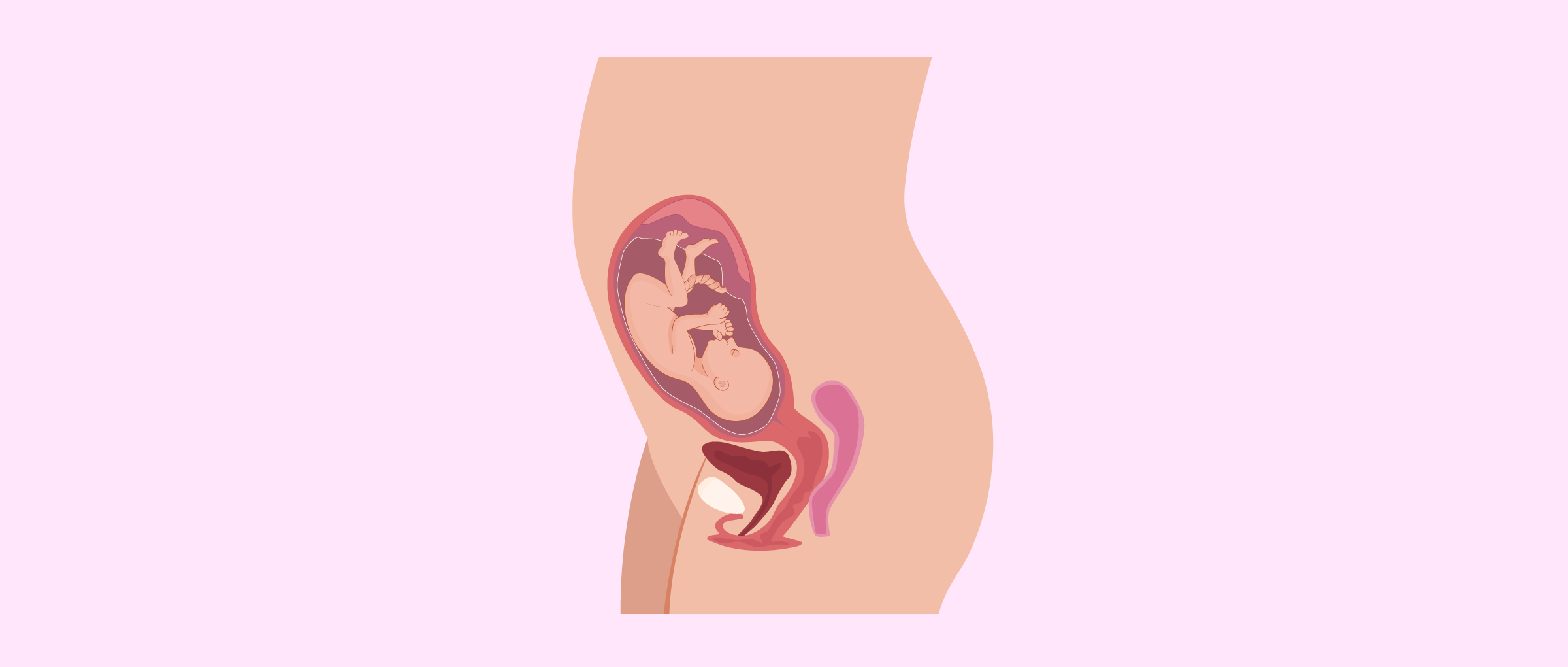 Le foetus est déjà formé au bout de 7 mois de grossesse