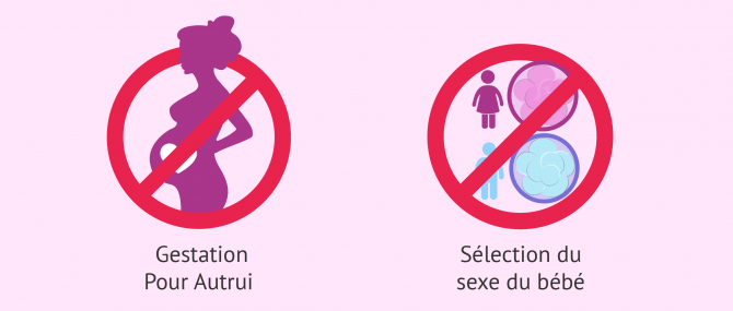 Imagen: PMA Espagne Gestation pour autrui et sélection du sexe