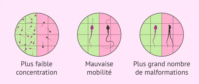 Imagen: Qualité sperme et IMC
