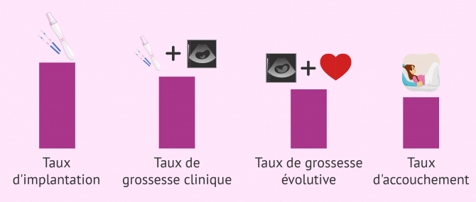 Imagen: Réussite techniques de PMA