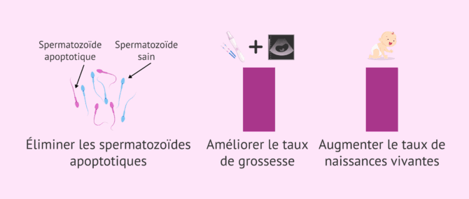Imagen: Avantages de la réalisation de la technique MACS