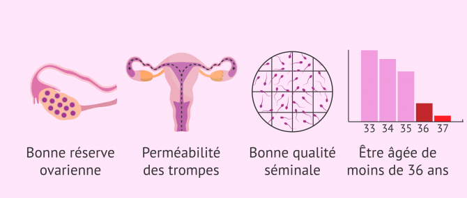 Imagen: conditions requises pour une IA