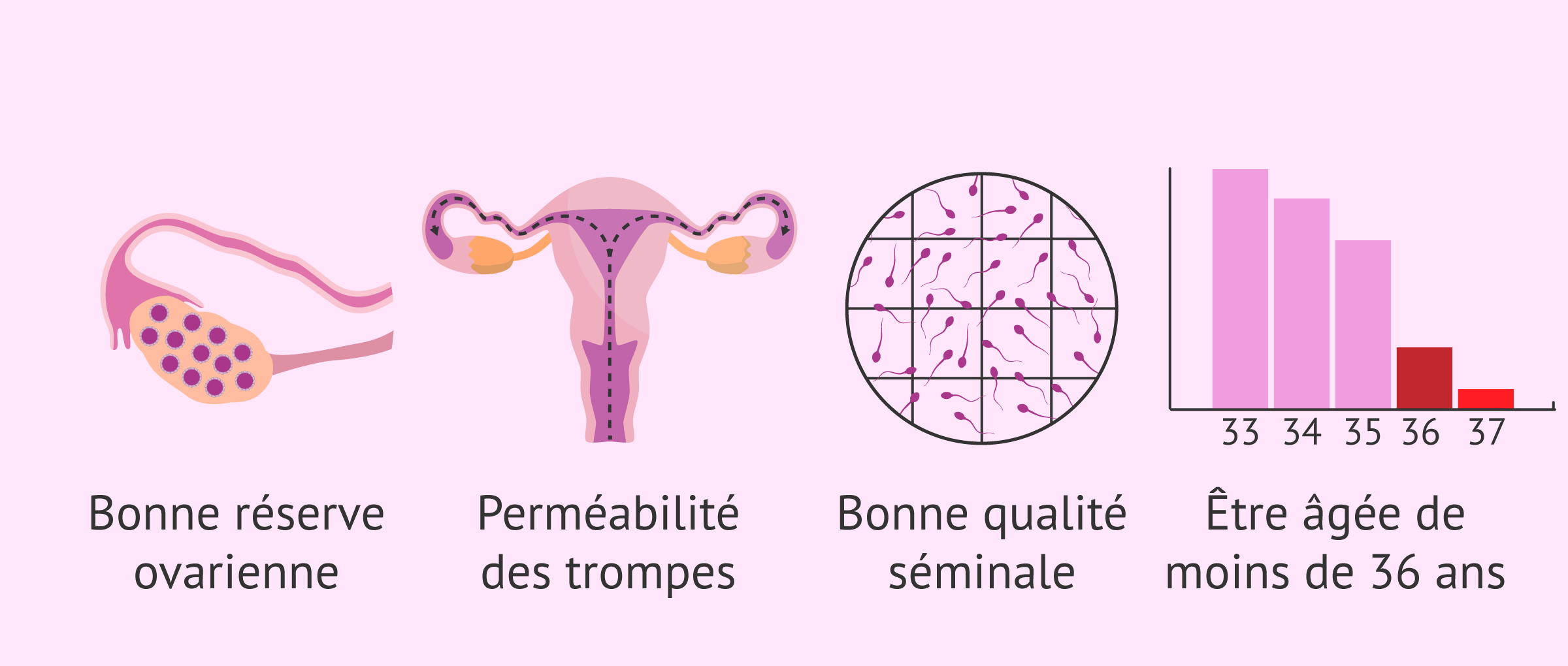 Exigences relatives à l'insémination artificielle