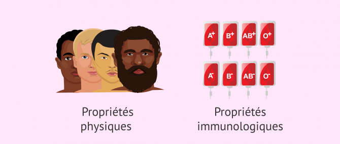 Imagen: Choisir le donneur de sperme