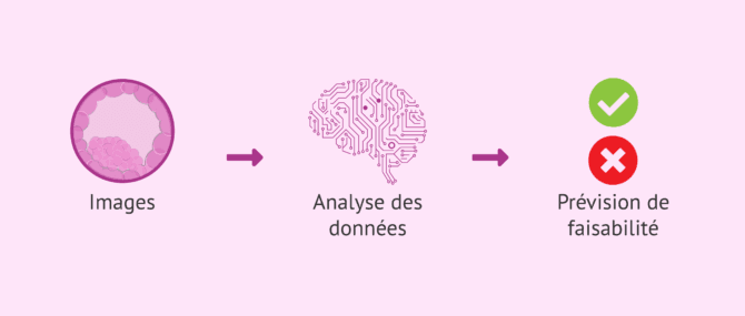 Imagen: Avancées de l'intelligence artificielle en procréation assistée