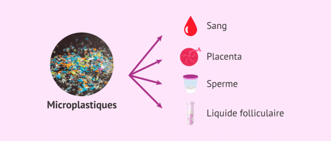 Imagen: Présence de microplastiques dans l'organisme humain