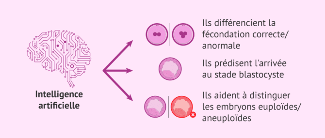 Imagen: Intelligence artificielle et sélection embryonnaire