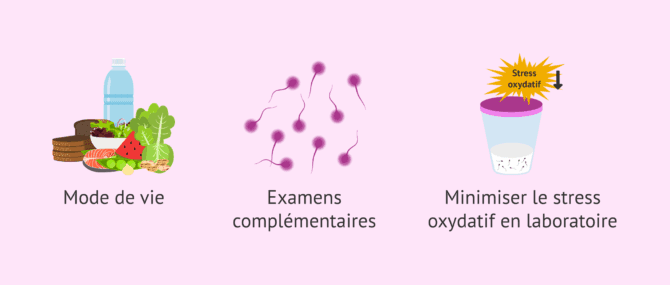 Imagen: Conseils pour l'âge paternel avancé