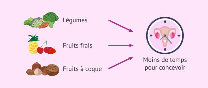 Imagen: Aliments qui favorisent la fertilité