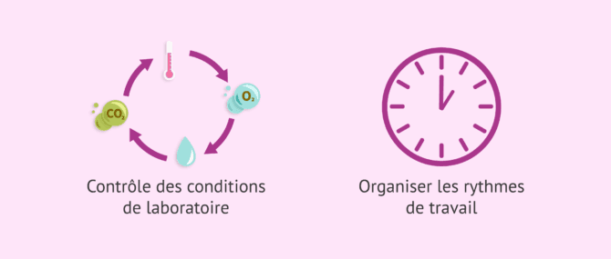 Imagen: Avancées de l'intelligence artificielle dans le laboratoire de FIV