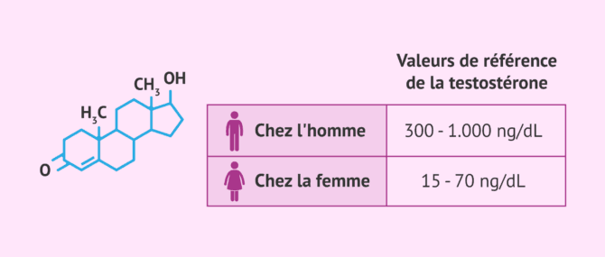 Imagen: Taux normaux de testostérone dans le sang