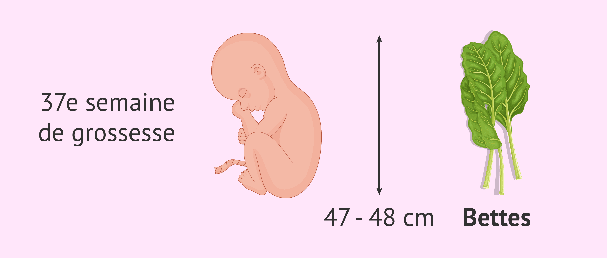 Semaine 37 de grossesse: quels changements pour le bébé et la mère?