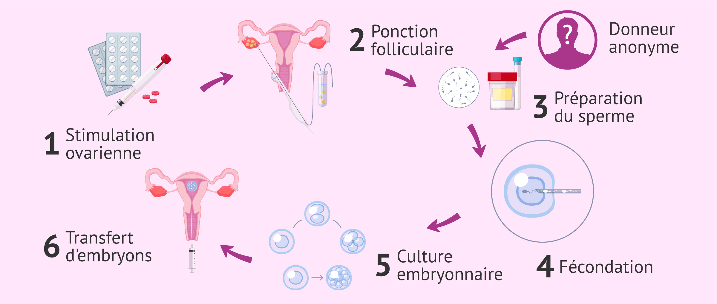 Imagen: Comment se déroule tout le processus de FIV ?