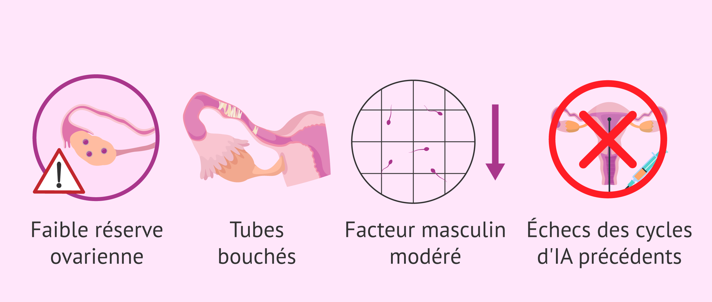 Imagen: Indications pour un traitement de FIV