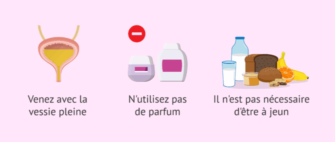Imagen: Recommandations avant le transfert d'embryons