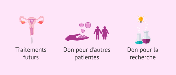 Imagen: Devenir des embryons surnuméraires