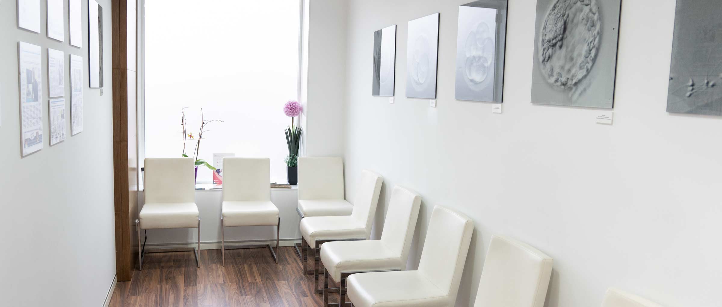 Imagen: Salle d'attente ART Reproducción
