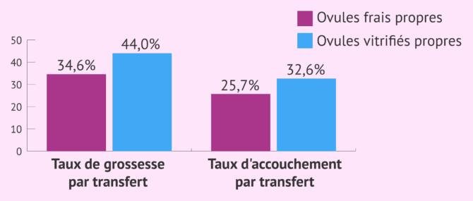 Imagen: FIV réussie avec des ovules congelés