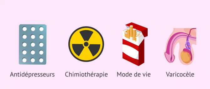 Imagen: Causes de l'oligoasthénotératozoospermie