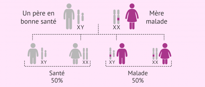 Imagen: Hérédité des maladies dominantes liées à l'X