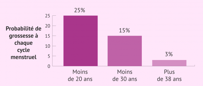 Imagen: Possibilité de grossesse par cycle menstruel