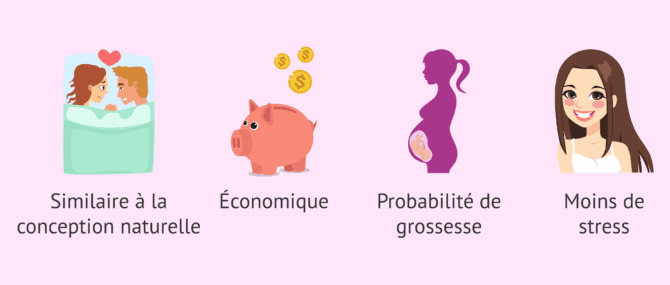 Imagen: Quels sont les avantages des rapports dirigés?
