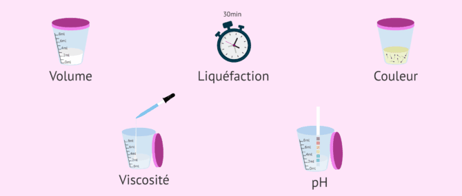 Imagen: Paramètres macroscopiques du séménogramme