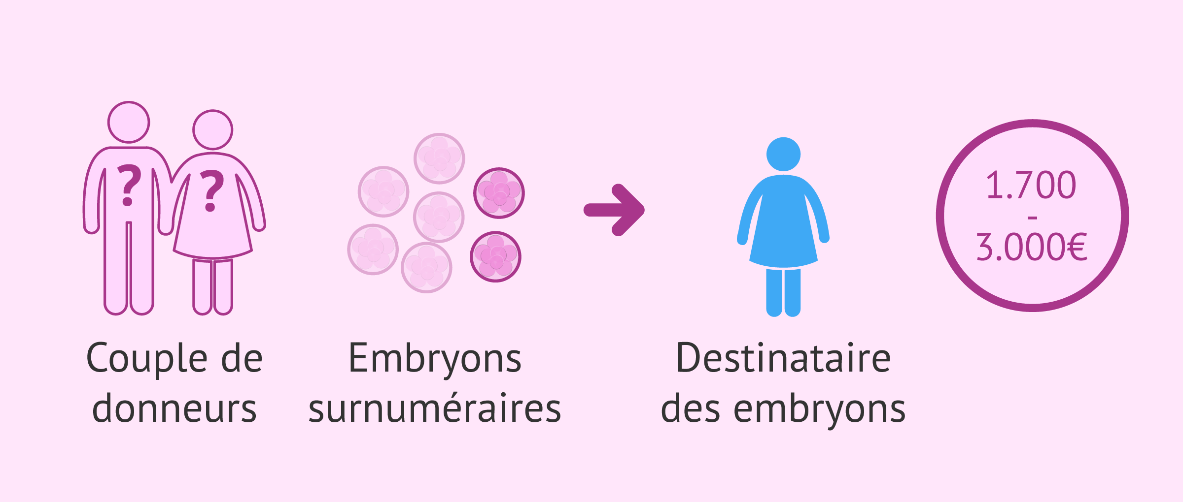Imagen: Combien coûte l'embryadoption?