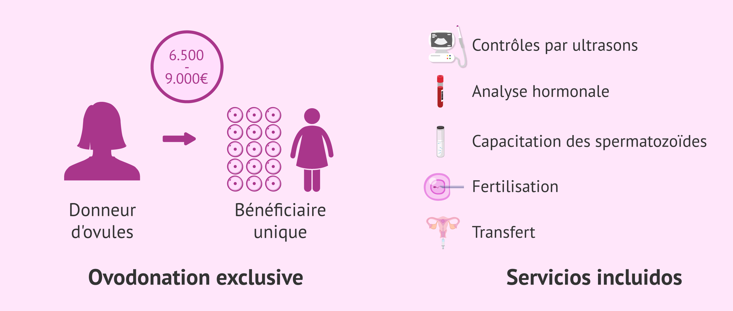 Imagen: Services inclus dans le coût de l'ovodontie exclusive