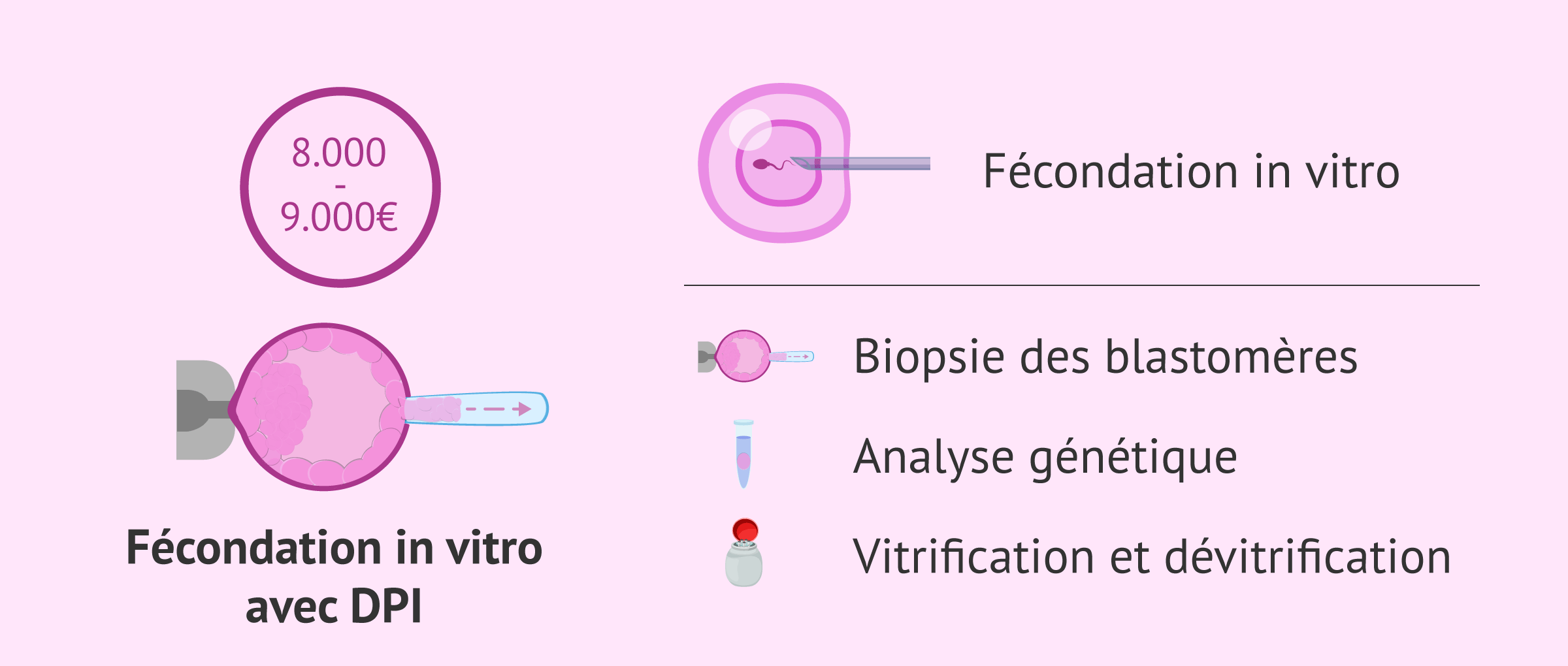 Imagen: Prix de la FIV avec DPI