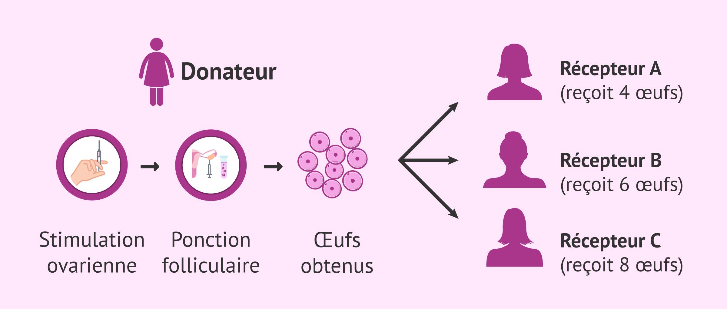 Imagen: De quoi dépend le prix du don d'ovules partagé?