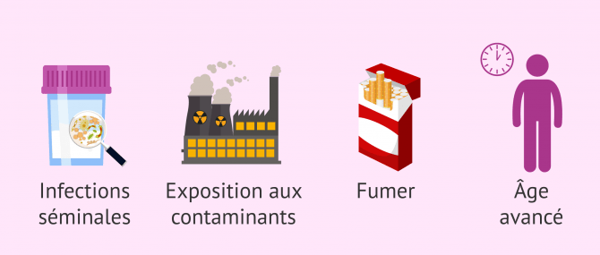 Imagen: Causes de la fragmentation de l'ADN des spermatozoïdes
