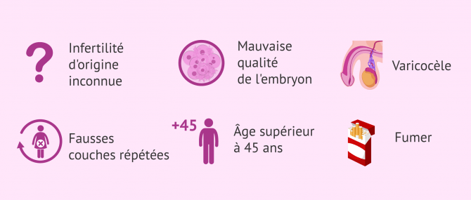 Imagen: Indications pour le test de fragmentation de l'ADN des spermatozoïdes