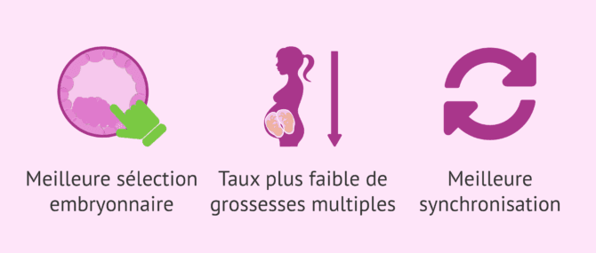 Imagen: Avantages du transfert au stade de blastocyste
