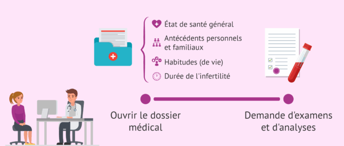 Imagen: Premières étapes du bilan de fertilité