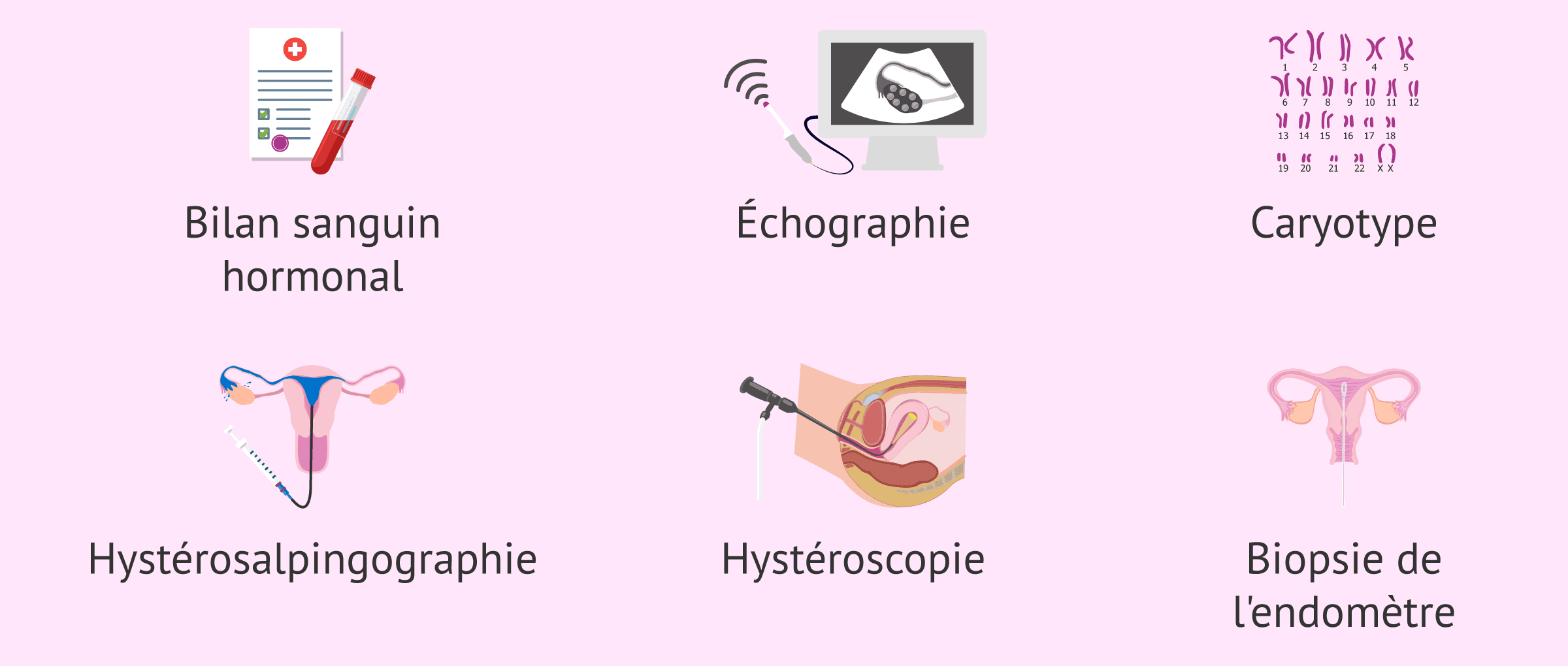 Imagen: Examens du bilan de fertilité de la femme