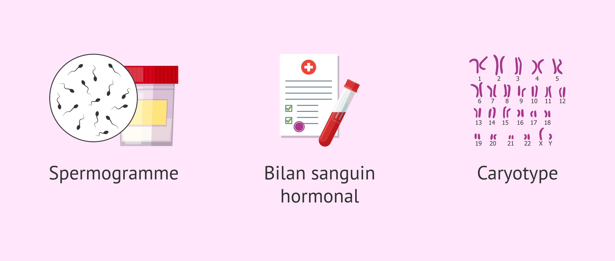 Imagen: Examens du bilan de fertilité de l'homme
