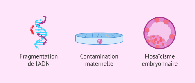Imagen: Limites du test génétique préimplantatoire non invasif