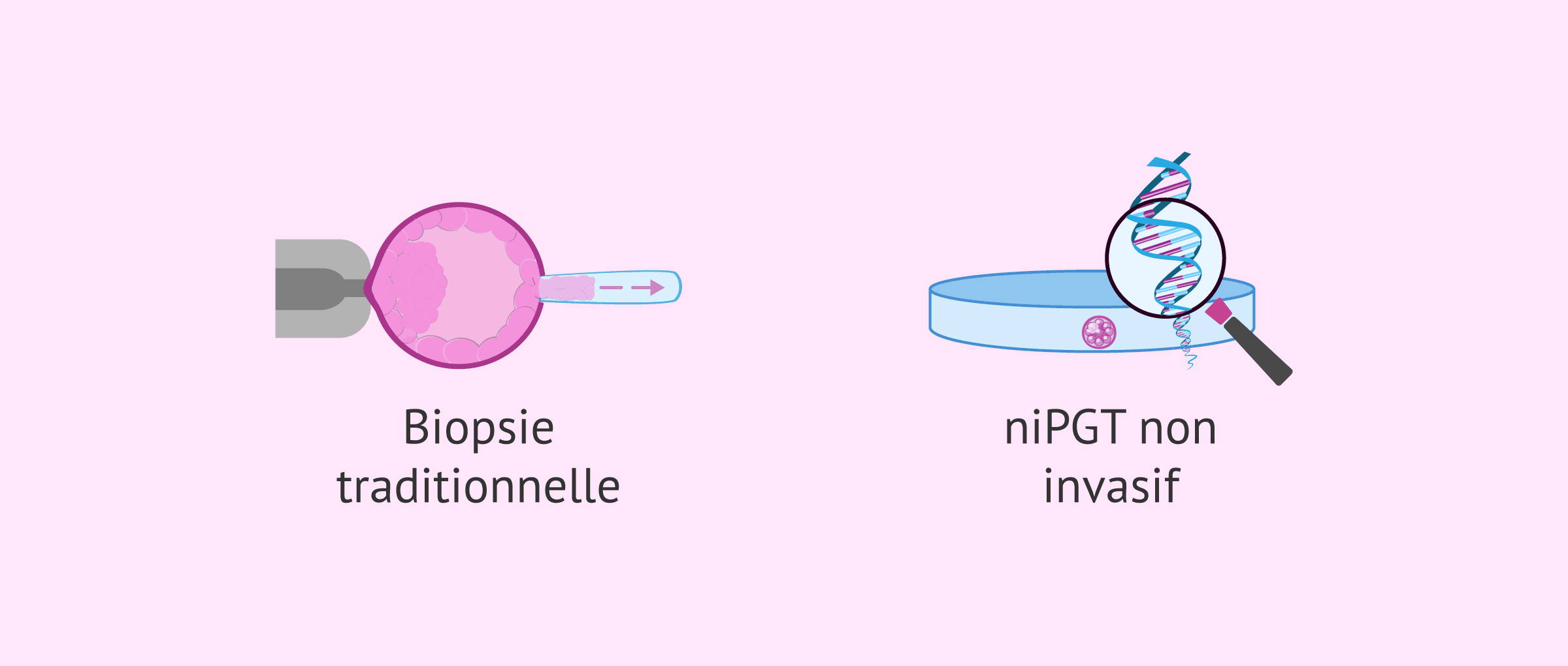 Avancées dans le test génétique préimplantatoire non invasif (niPGT)