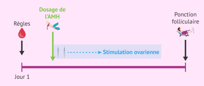 Imagen: Quand faire l'analyse de l'AMH?