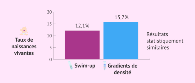 Imagen: Résultats avec le swim-up et avec les gradients de densité