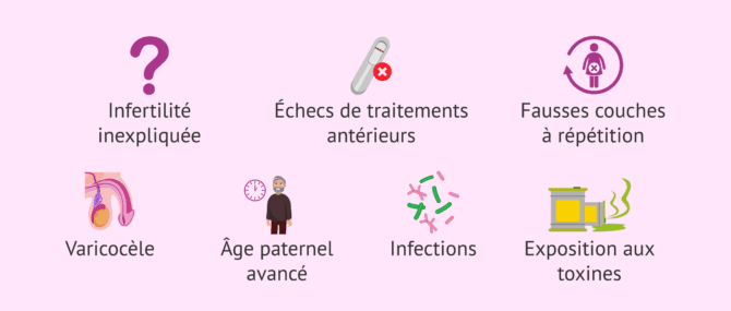 Imagen: Quand mesurer la fragmentation de l'ADN spermatique ?